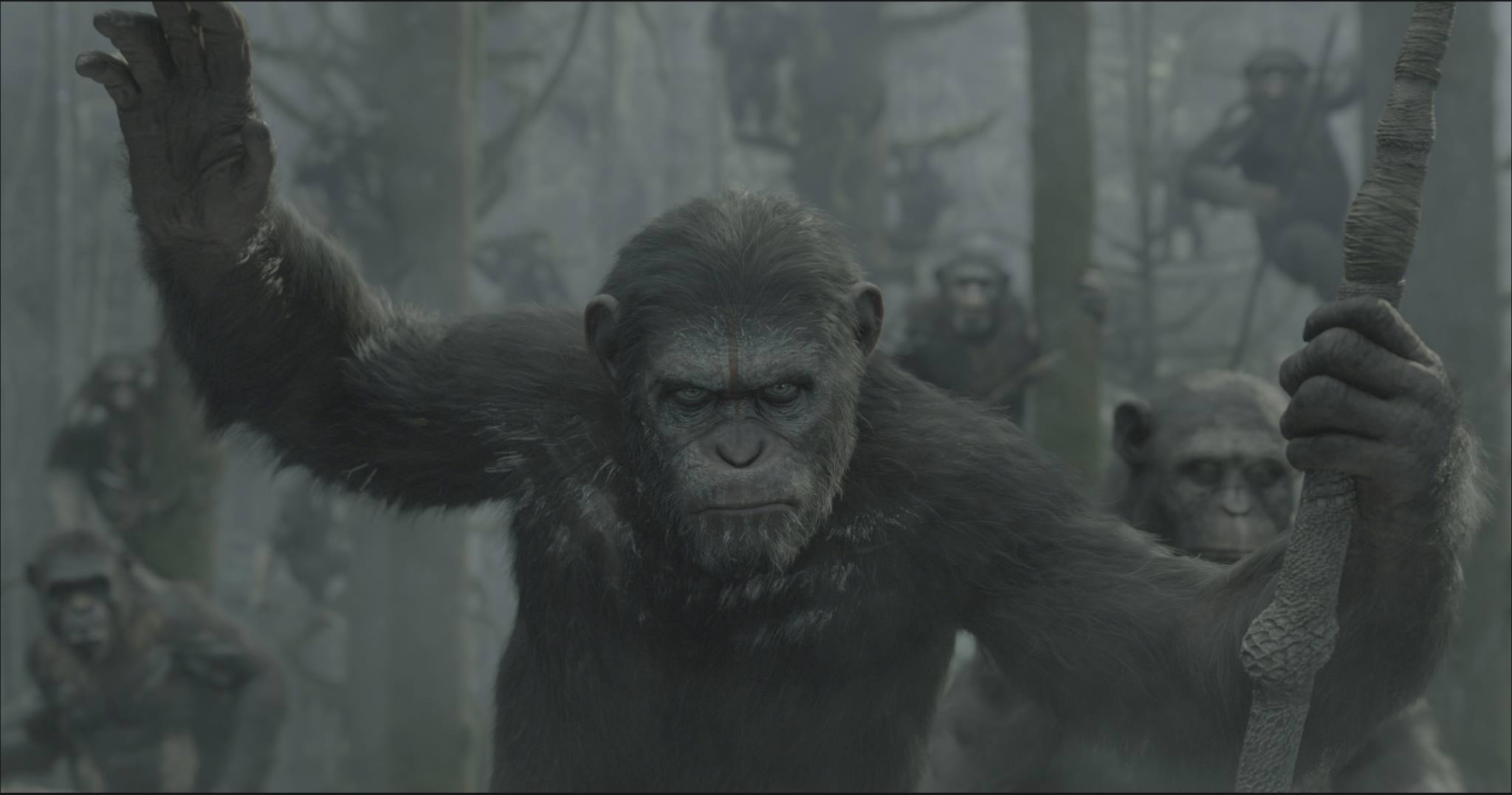 Un nouveau trailer pour Dawn of the planet of the Apes!